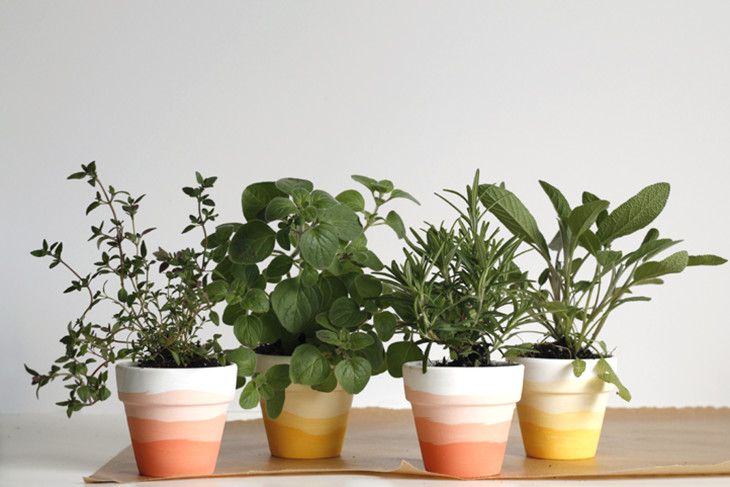 Mini ombre herb pots // A good way to motivate anyone to make a home fresh dinner!