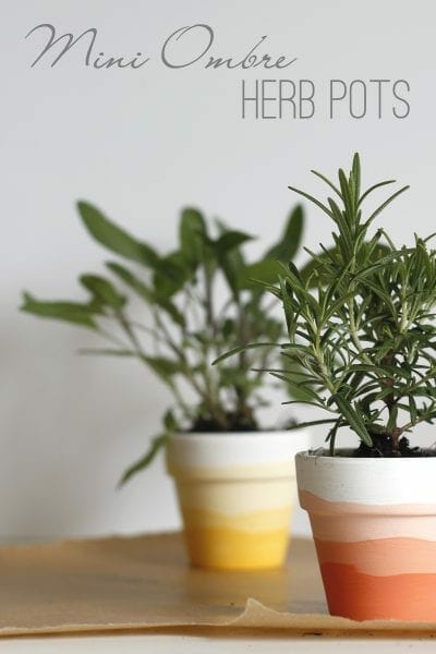 Make a set of these mini ombre herb pots for under $5! A fun DIY craft idea to do with the family. 