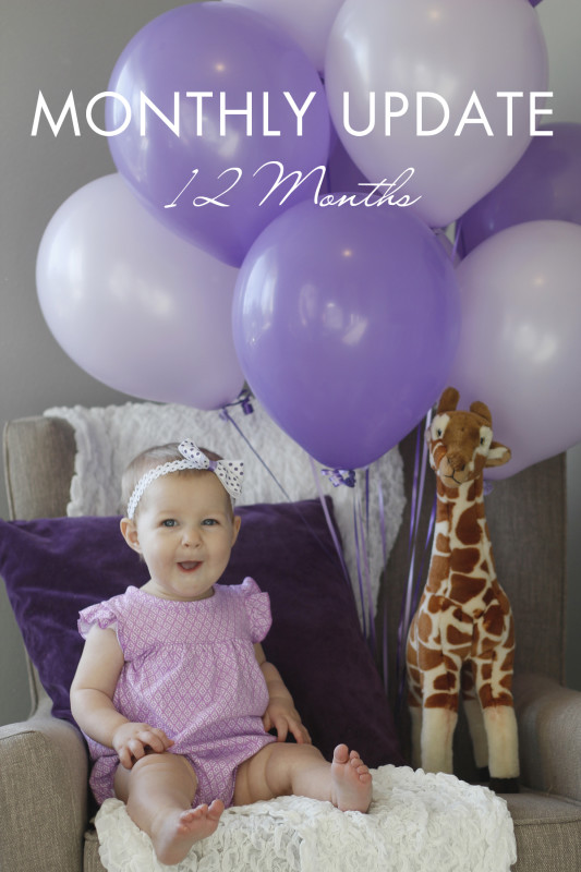 Monthly baby update / 12 Months