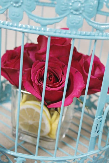 Dark pink rose in turquoise cage image.