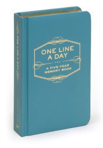 One line a day book image.