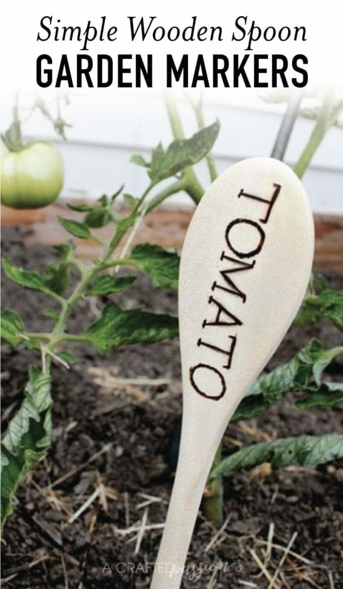 Wooden spoon with the word TOMATO on it in front of tomato plant image.