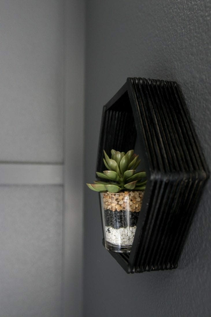 Closeup image of succulent shelf