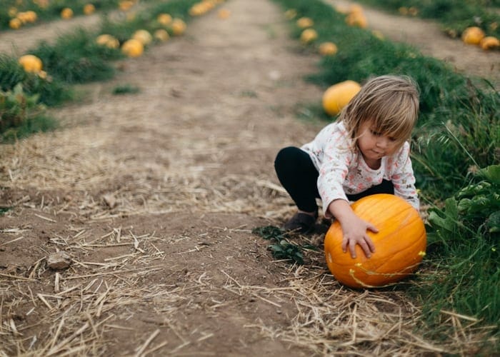 Go to the pumpkin patch this Fall