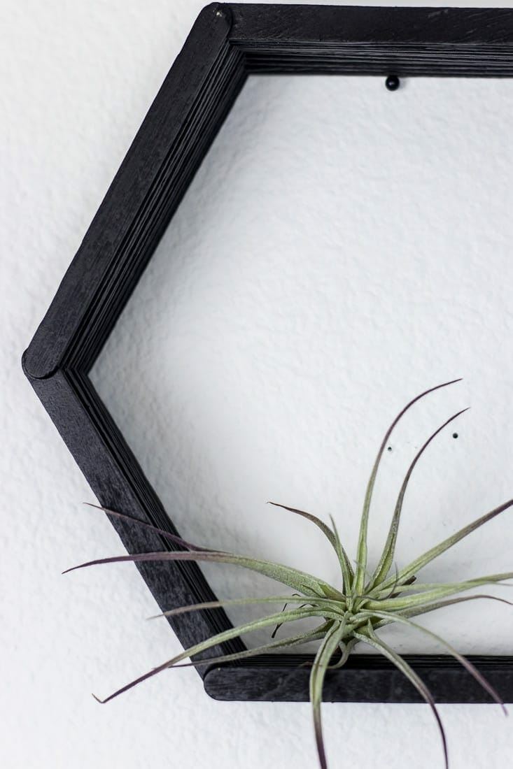 How to Make Easy DIY Hexagon Shelves: Modern Wall Decor