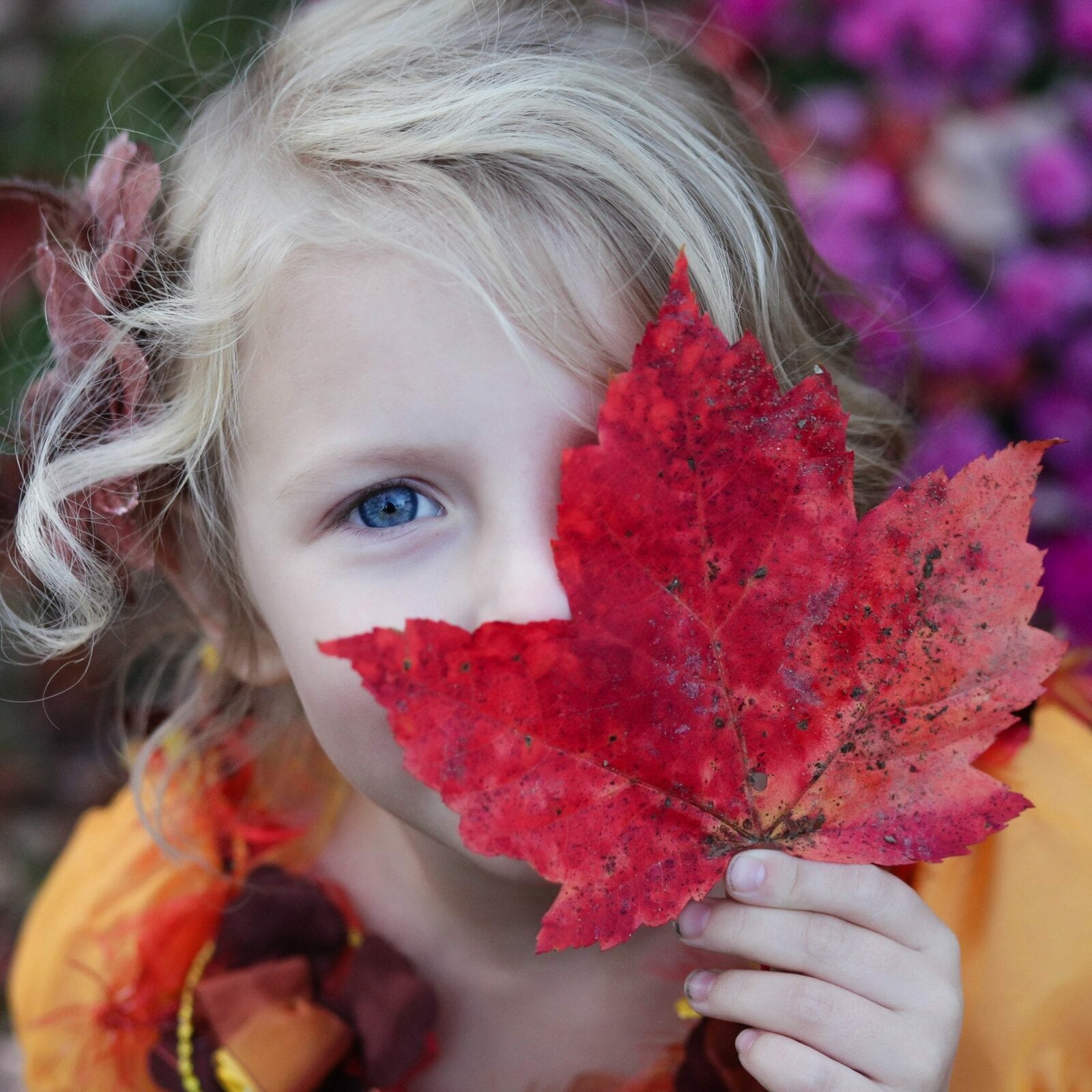 Image of girl with fall leaf