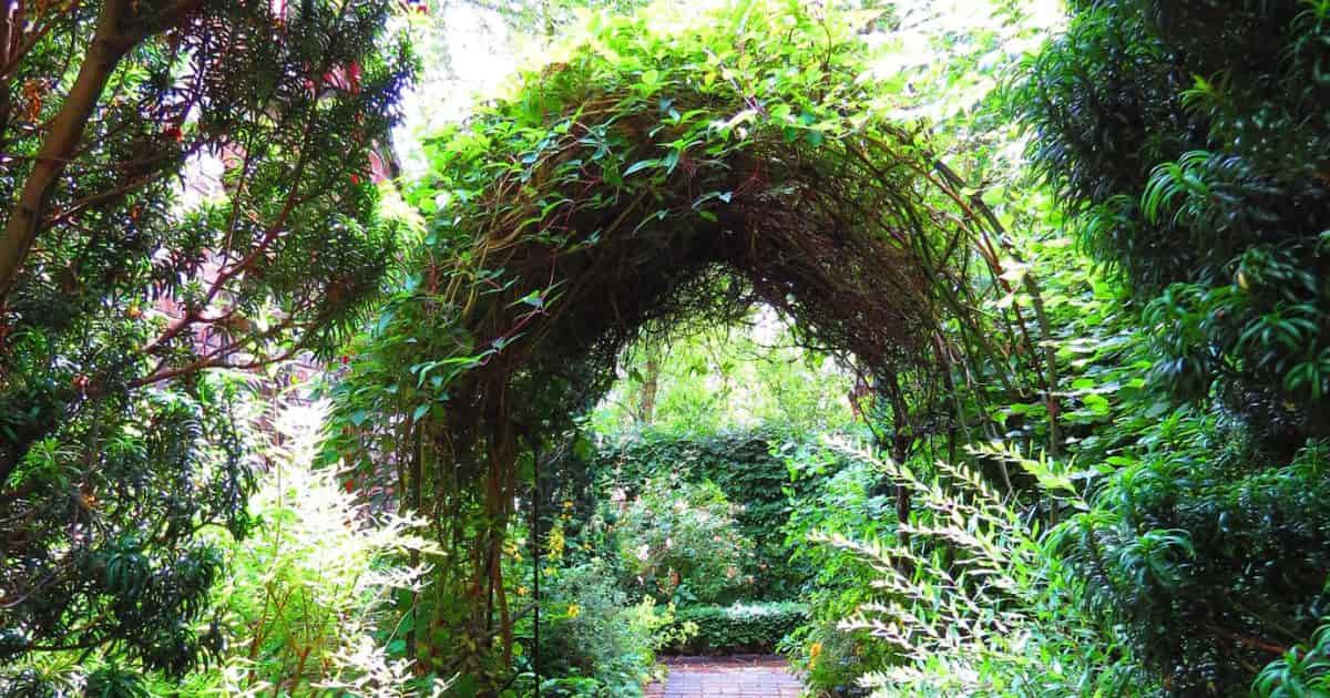 diy garden arch ideas