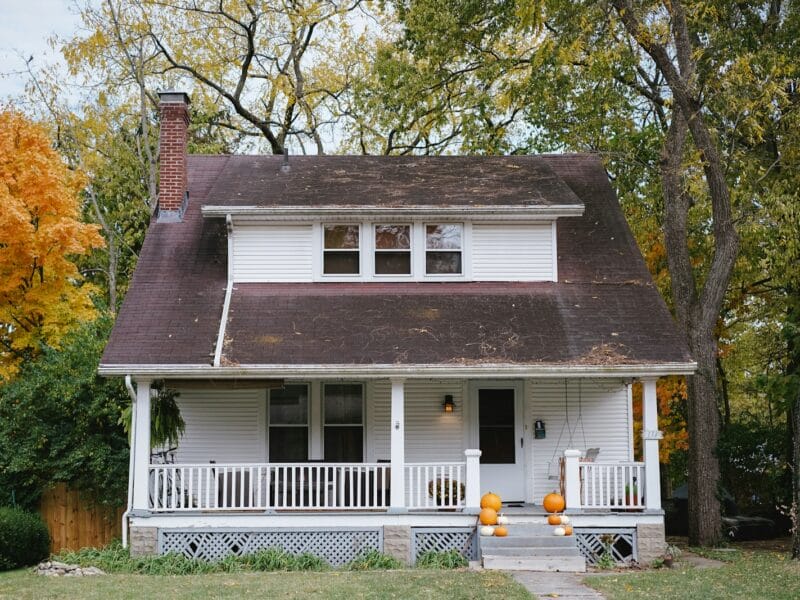 trees beside white house