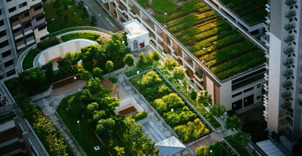 top view of building with trees