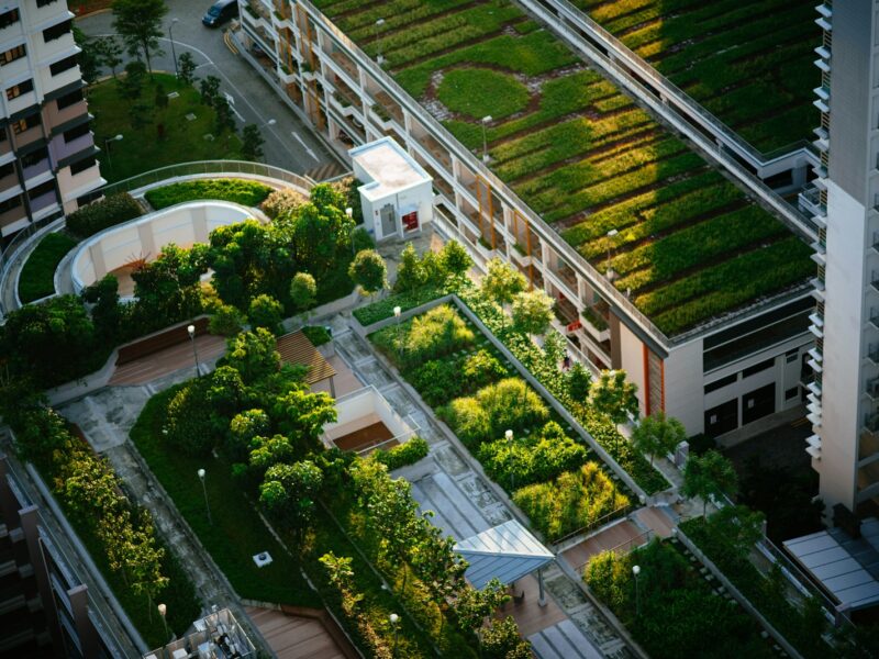 top view of building with trees