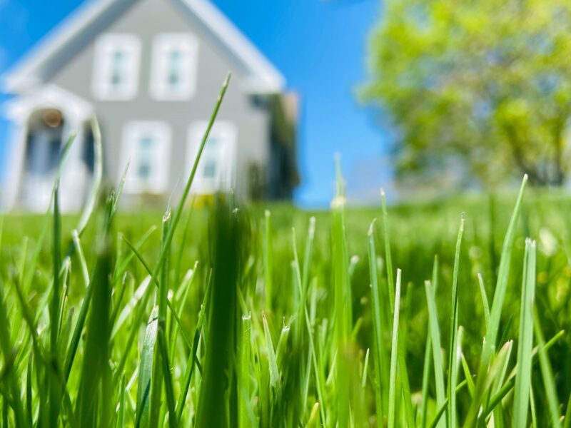 white and blue house in green grass field