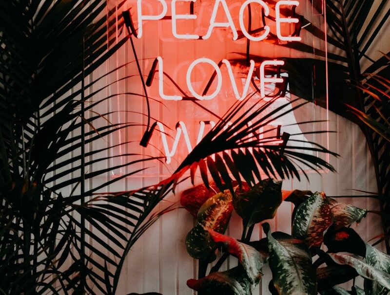 peace love neon signage near green leaf plants