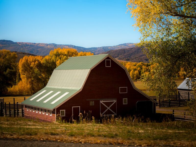 barn surrounded by trees
