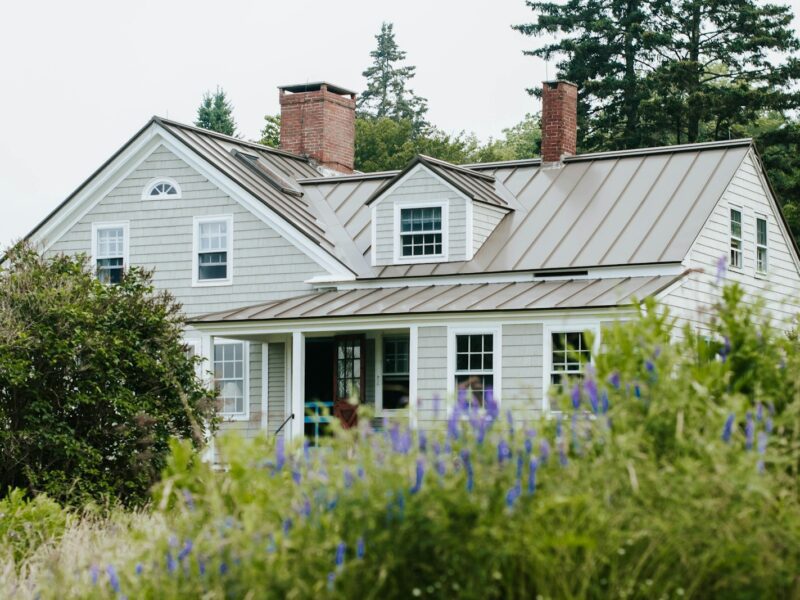 white and gray wooden house surrounded by green plants during daytime