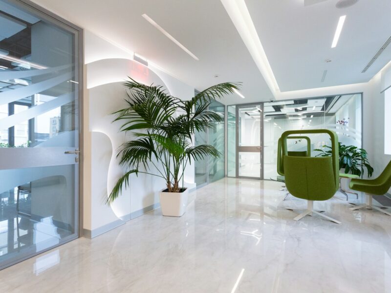 green potted plant on white ceramic floor tiles