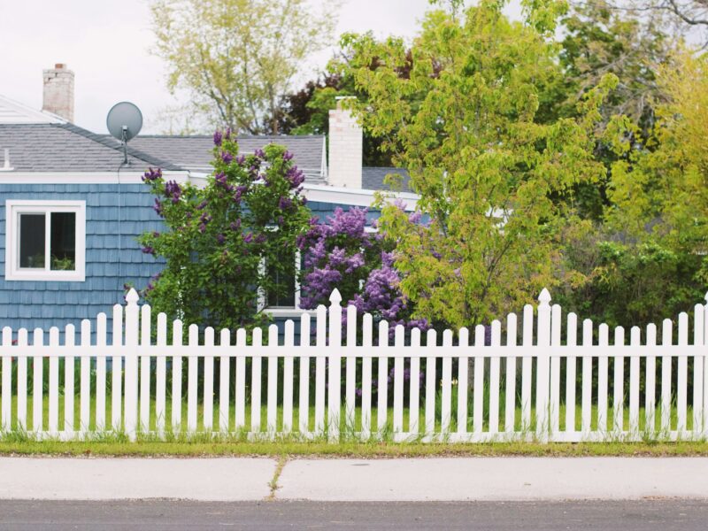 white wooden fence near green trees during daytime