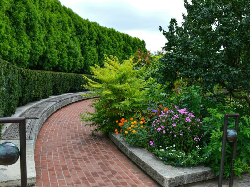 a brick path with a garden of flowers and trees