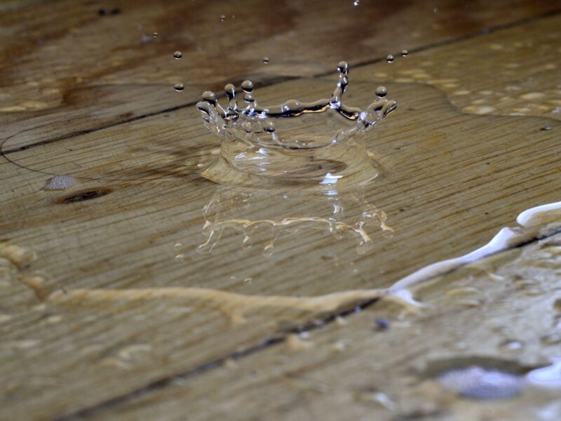 a spider on a wood surface