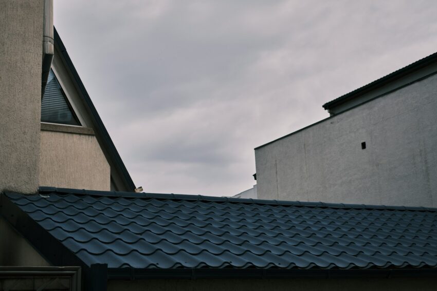 a bird is perched on the roof of a building