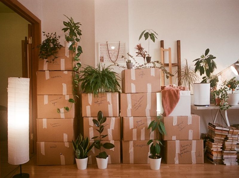 A room filled with lots of boxes and plants