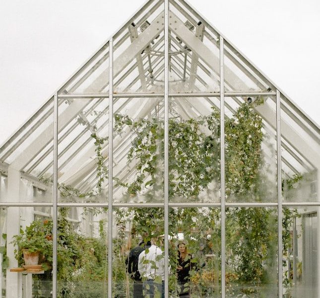 people inside greenhouse