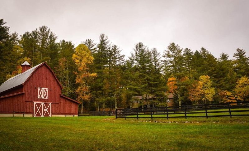 barn surrounded by trees