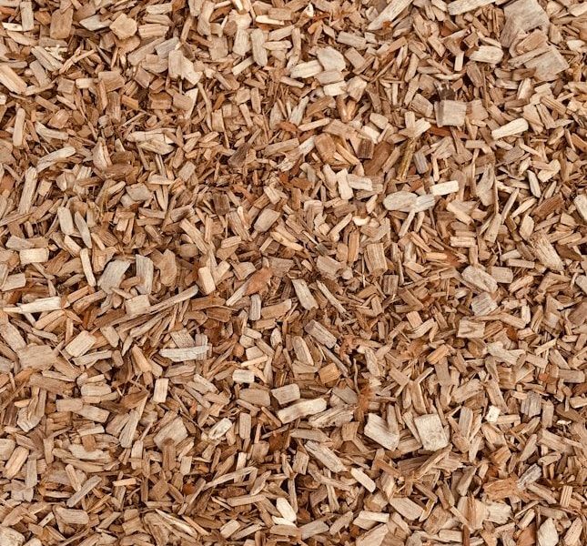 brown dried leaves on ground