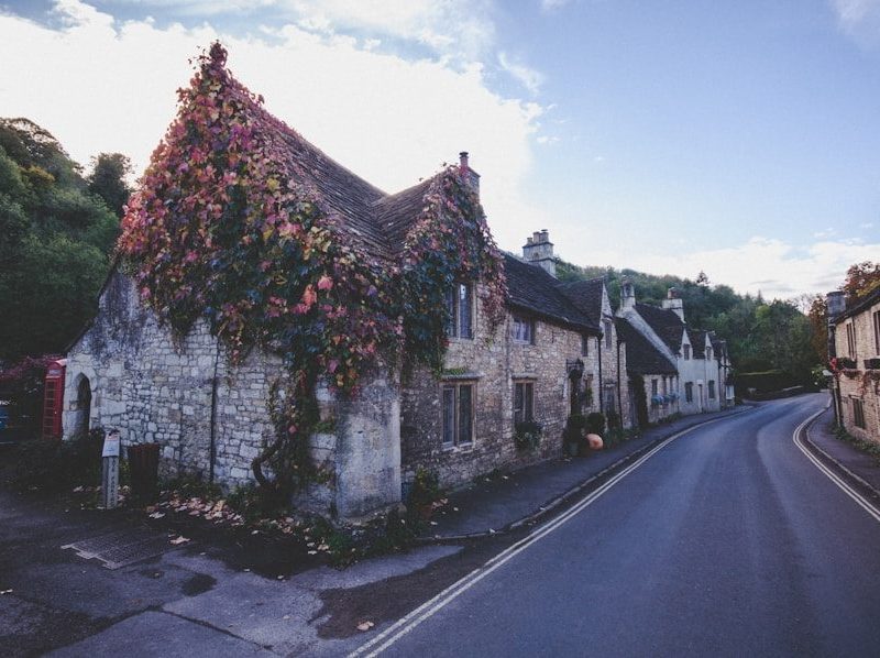 houses beside road near forest