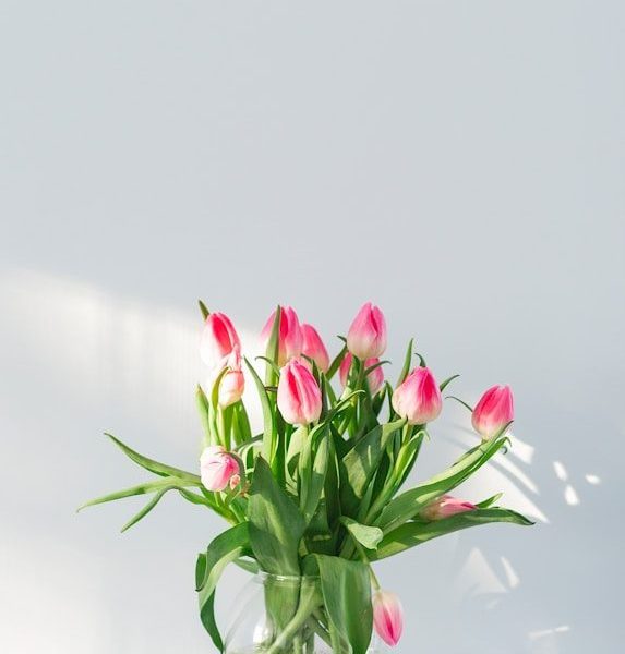 pink flowers in vase