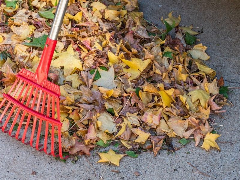a red rake laying on top of a pile of leaves
