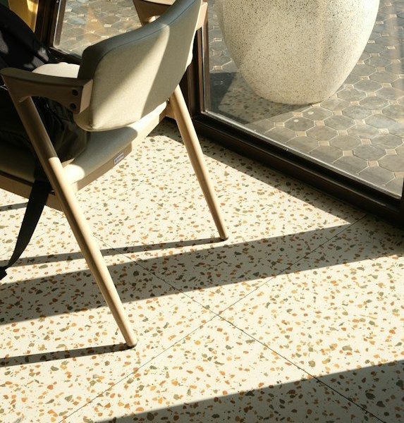 A chair, plant, and sunlight create a nice scene